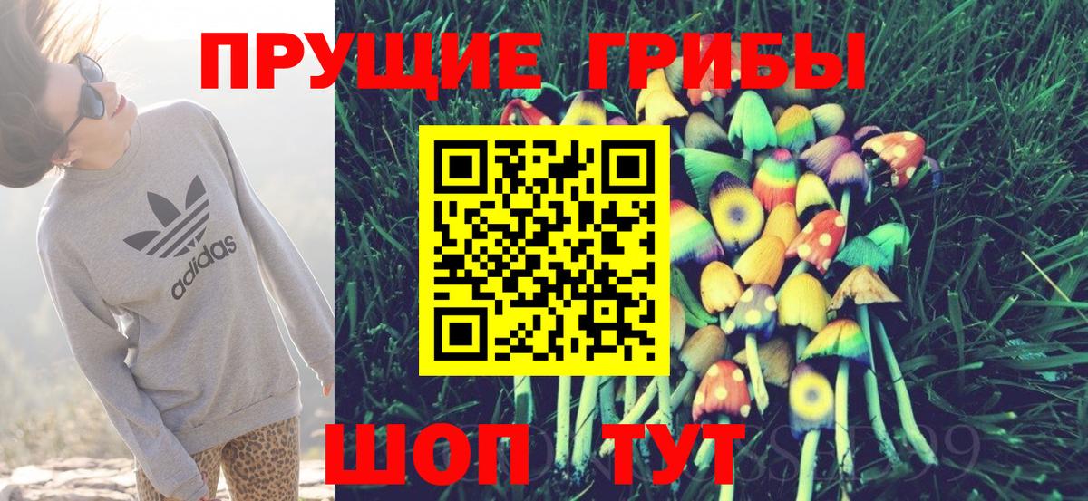 Псилоцибиновые грибы Psilocybe  Вход с VPN  Галлюциногенные грибы Psilocybine cubensis  продажа наркотиков  Спасск-Дальний 